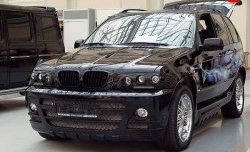 21 499 р. Передний бампер Тарантул BMW X5 E53 дорестайлинг (1999-2003) (Неокрашенный)  с доставкой в г. Майкоп. Увеличить фотографию 2