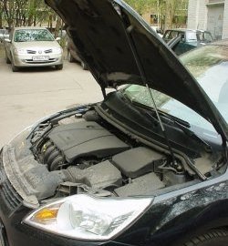 Упор капота Sport Ford Focus 2 седан рестайлинг (2007-2011)