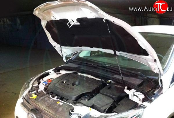 2 969 р. Упор капота Sport Ford Focus 3 хэтчбэк дорестайлинг (2010-2015)  с доставкой в г. Майкоп