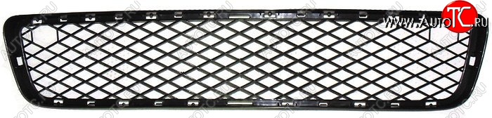 2 379 р. Решетка в передний бампер SAT BMW X5 E70 дорестайлинг (2006-2010) (Нижняя)  с доставкой в г. Майкоп