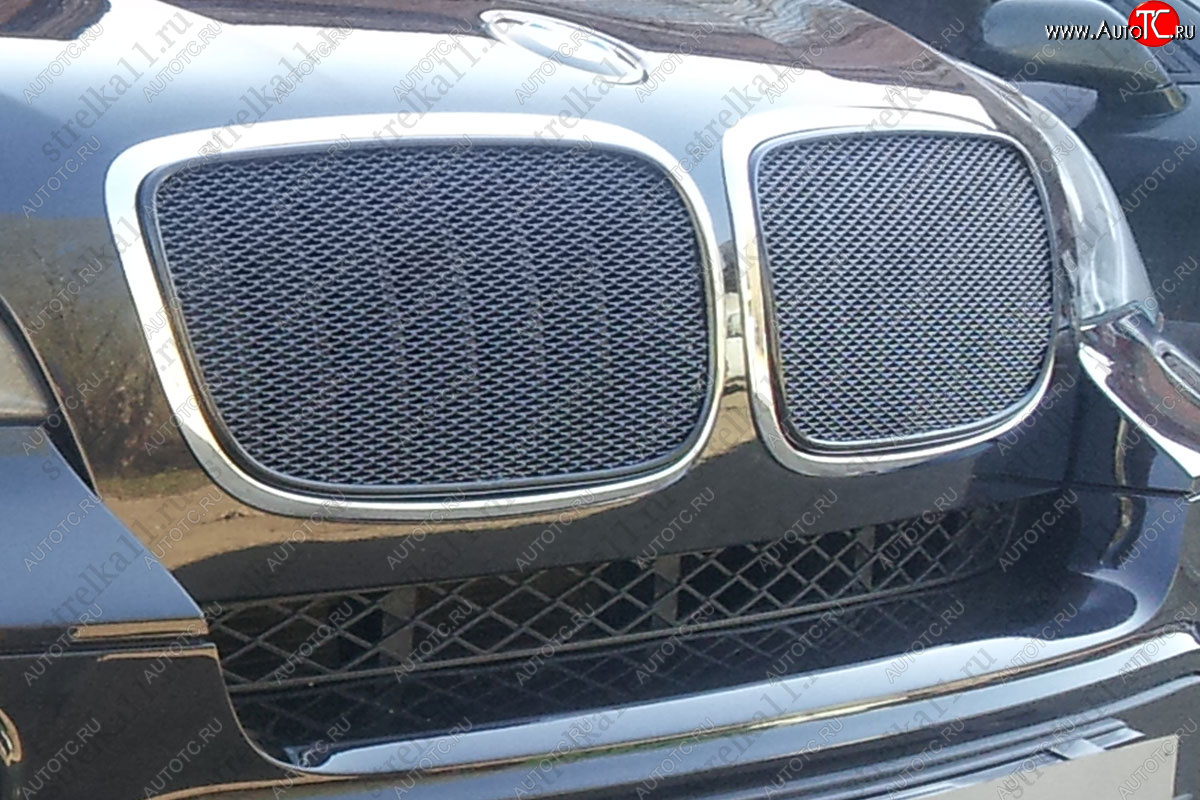 6 849 р. Защитная сетка решетки радиатора AUTOLEADER Премиум BMW X5 E70 дорестайлинг (2006-2010) (черная)  с доставкой в г. Майкоп