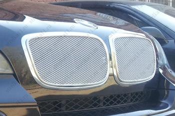 Защитная сетка решетки радиатора AUTOLEADER Премиум BMW X5 E70 дорестайлинг (2006-2010) (Хром)