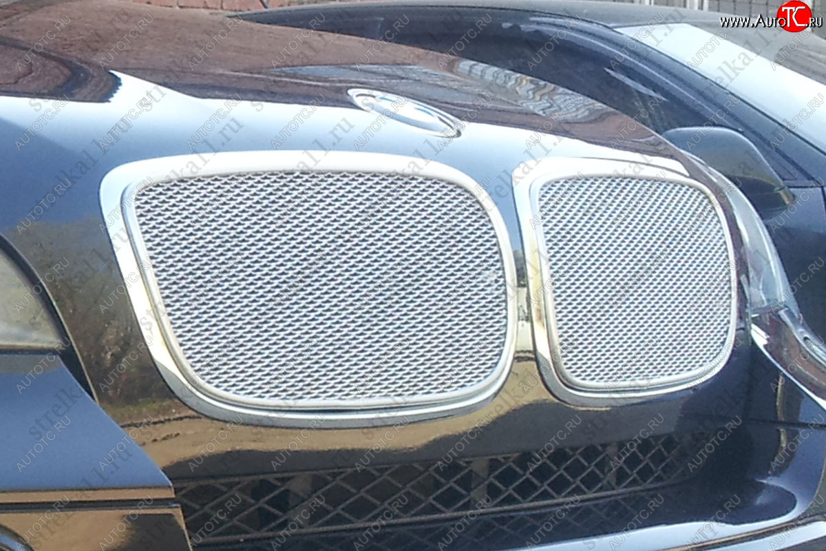 6 749 р. Защитная сетка решетки радиатора AUTOLEADER Премиум BMW X5 E70 дорестайлинг (2006-2010) (Хром)  с доставкой в г. Майкоп