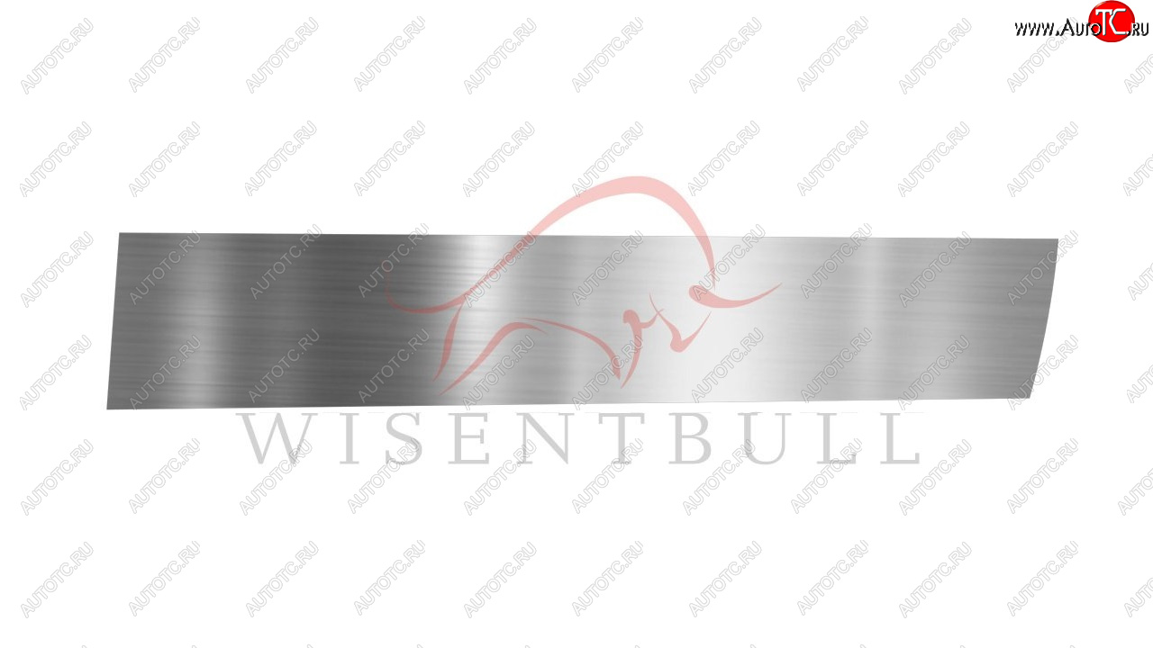 1 989 р. Ремкомплект правой двери Wisentbull BMW X5 E70 дорестайлинг (2006-2010)  с доставкой в г. Майкоп