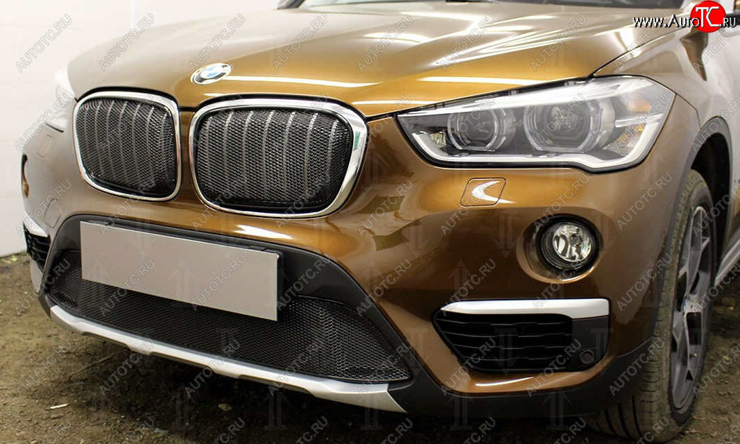 5 399 р. Защитная сетка радиатора в бампер Стрелка 11 Премиум (алюминий) BMW X1 F48 дорестайлинг (2015-2019) (Цвет: черный)  с доставкой в г. Майкоп