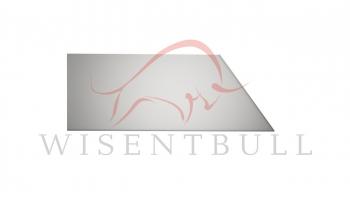 Правая задняя ремонтная арка (внешняя) Wisentbull Chery Amulet (Corda)  A15 (2003-2010), Vortex Corda (2010-2013)