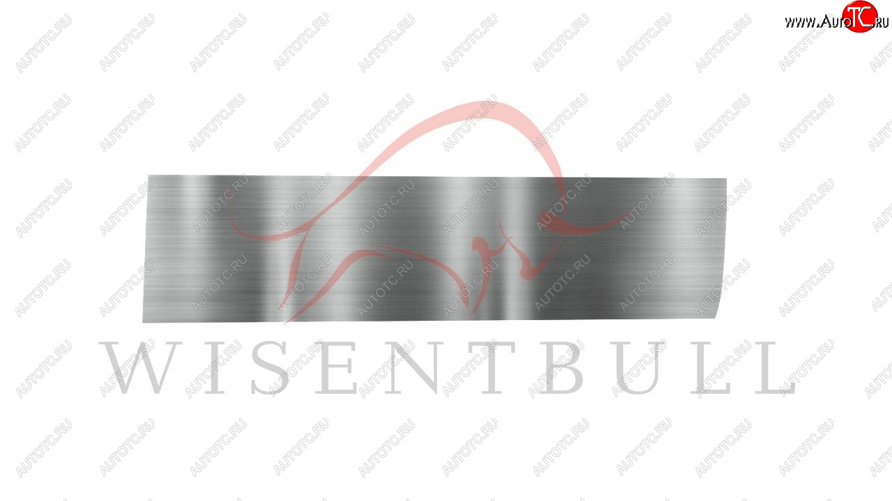 1 989 р. Ремкомплект правой двери Wisentbull Pontiac Wave T200 cедан дорестайлинг (2004-2006)  с доставкой в г. Майкоп