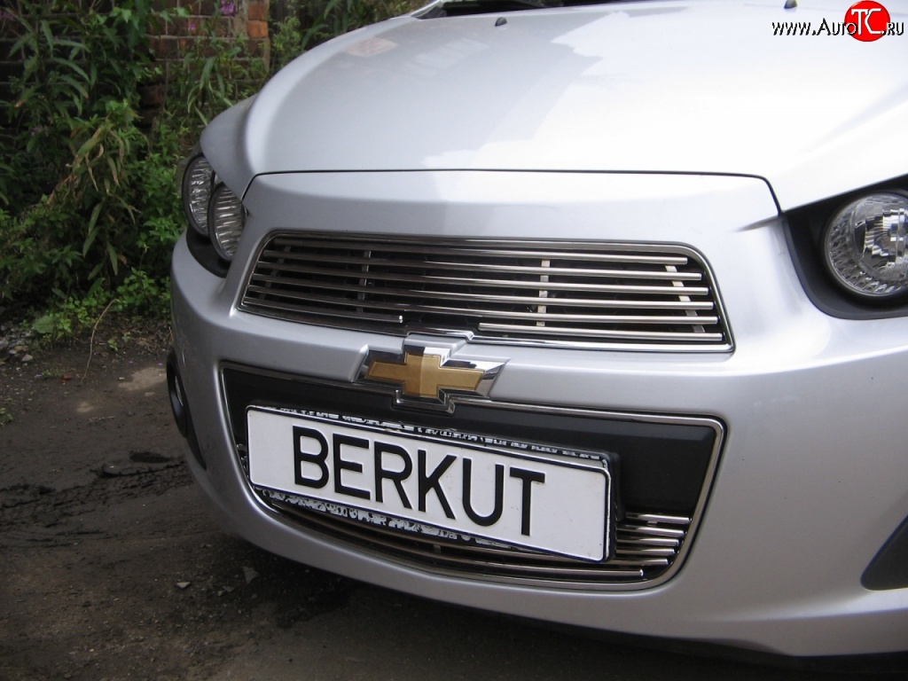 4 399 р. Декоративная вставка решетки радиатора Berkut Chevrolet Aveo T300 хэтчбек (2011-2015)  с доставкой в г. Майкоп