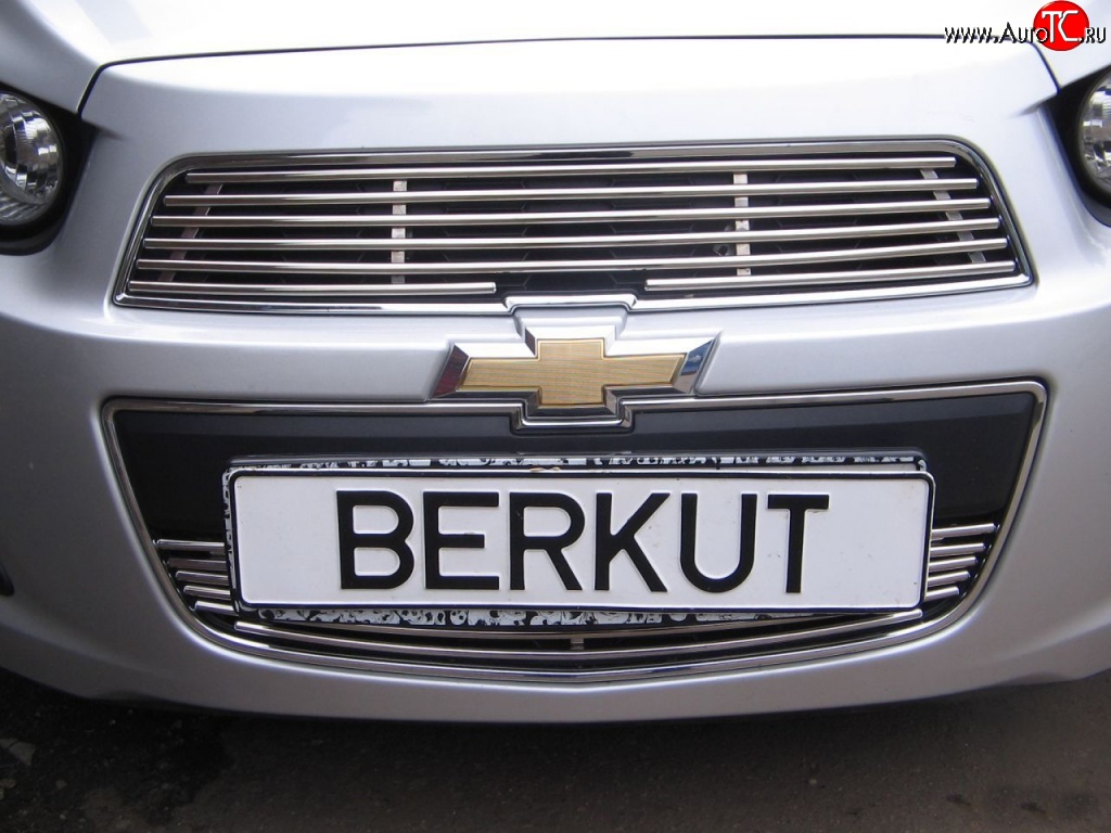 3 999 р. Декоративная вставка воздухозаборника Berkut Chevrolet Aveo T300 хэтчбек (2011-2015)  с доставкой в г. Майкоп