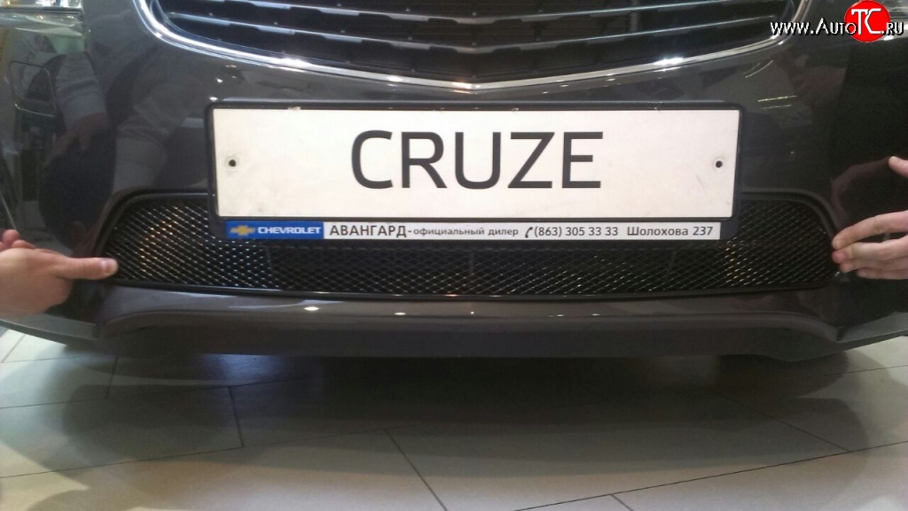 2 899 р. Сетка на бампер Novline Chevrolet Cruze J305 хэтчбек дорестайлинг (2009-2012)  с доставкой в г. Майкоп