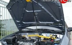 Упор капота Sport ЗАЗ Sens хэтчбэк (2007-2017)