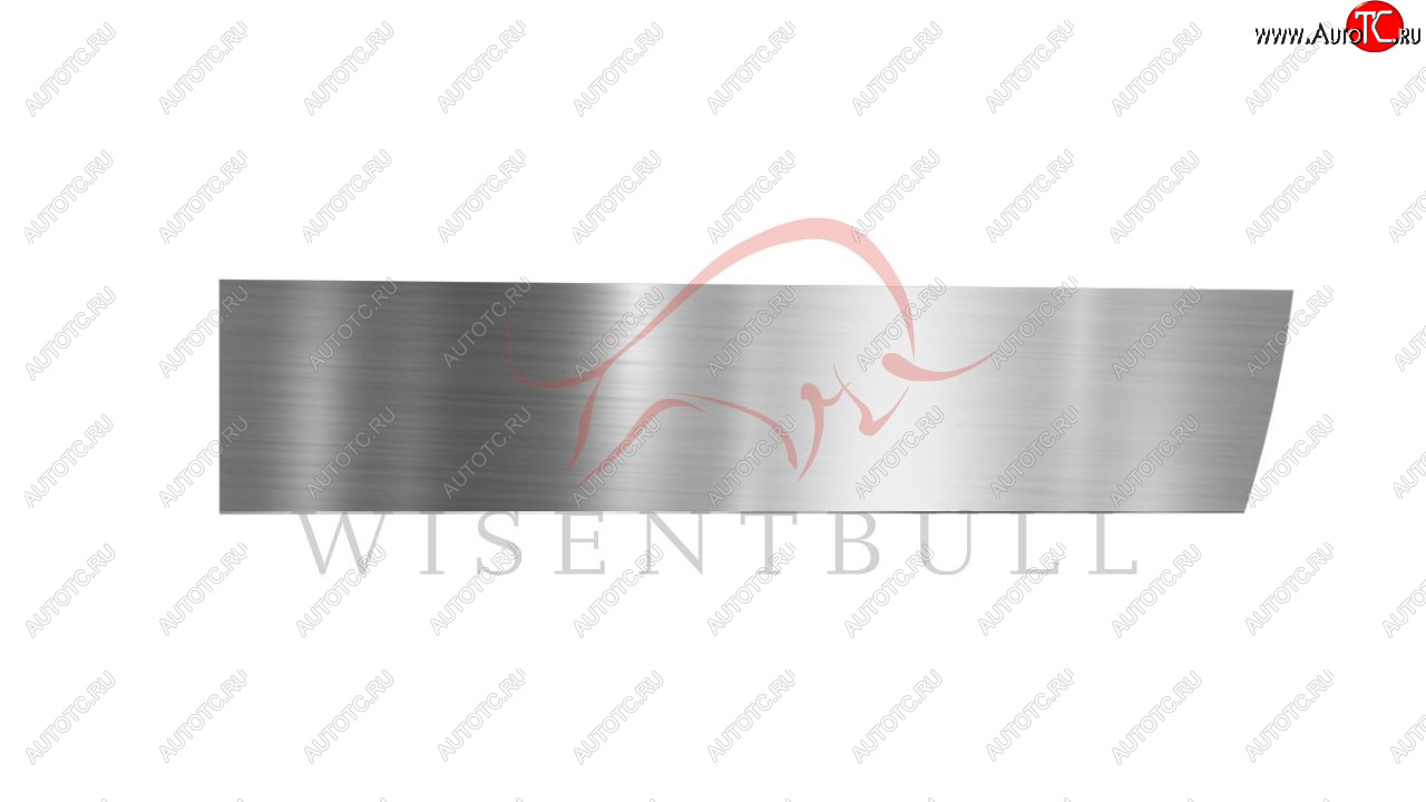1 989 р. Ремкомплект правой двери Wisentbull Chevrolet Viva (2005-2008)  с доставкой в г. Майкоп