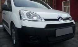 2 759 р. Сетка на бампер (рестайлинг) Russtal (черная) CITROEN Berlingo B9 дорестайлинг (2008-2016)  с доставкой в г. Майкоп. Увеличить фотографию 4