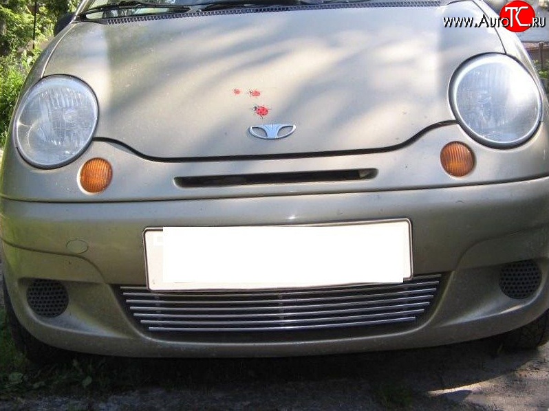 4 099 р. Декоративная вставка воздухозаборника (рестайлинг) Berkut Daewoo Matiz M150 рестайлинг (2000-2016)  с доставкой в г. Майкоп