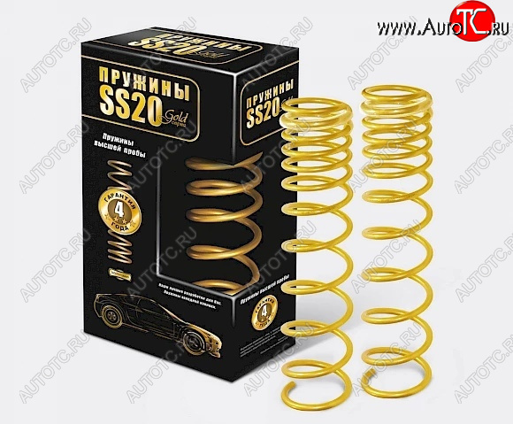 8 949 р. Пружины задние SS20 серии Gold Progressive Datsun mi-DO хэтчбэк (2014-2021)  с доставкой в г. Майкоп