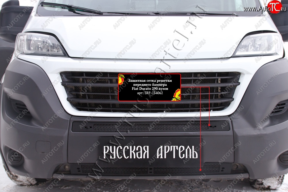 2 729 р. Защитная сетка решетки переднего бампера RA Fiat Ducato 290 (2014-2025)  с доставкой в г. Майкоп