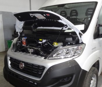 Амортизаторы капота Autofamily Fiat Ducato 290 (2014-2025)