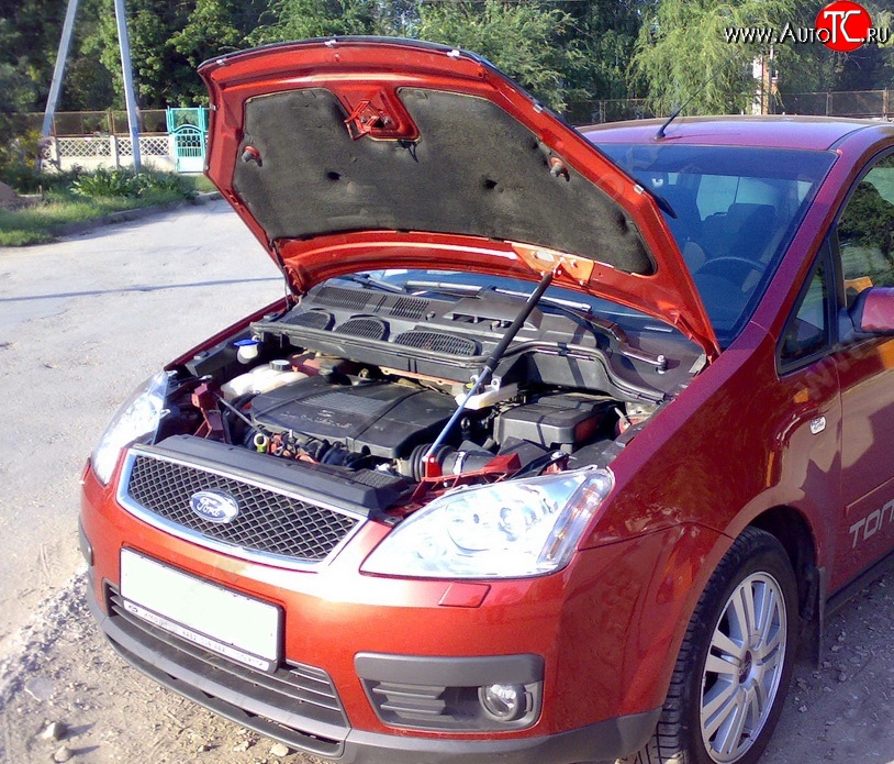 2 969 р. Упор капота Sport Ford C-max Mk1 рестайлинг (2007-2010)  с доставкой в г. Майкоп