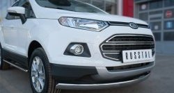 13 749 р. Защита переднего бампера (Ø75х42 мм, нержавейка) Russtal Ford EcoSport дорестайлинг (2013-2019)  с доставкой в г. Майкоп. Увеличить фотографию 2