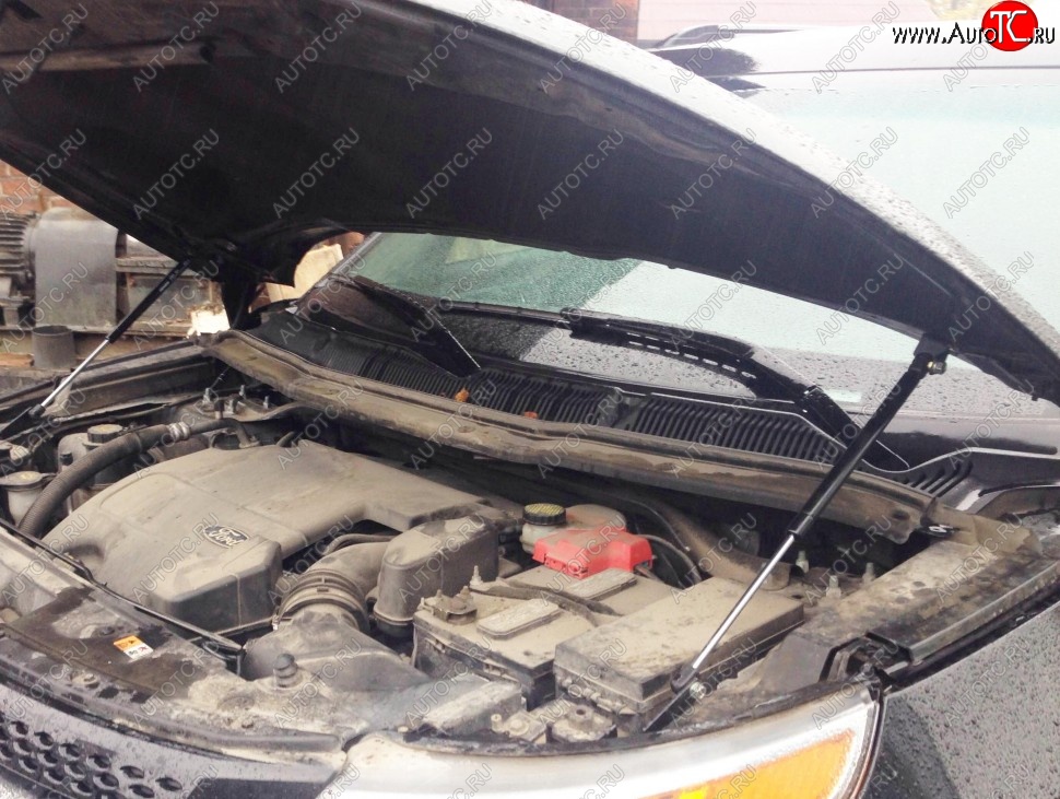 2 199 р. Газовые упоры капота Berkut Ford Explorer U502 дорестайлинг (2010-2016)  с доставкой в г. Майкоп