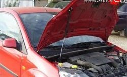 Упор капота Sport Ford Fiesta 5 хэтчбэк 5 дв. дорестайлинг (2001-2005) (с кронштейном)