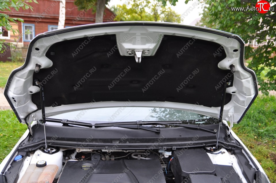 2 199 р. Газовые упоры капота Berkut Ford Focus 2 универсал рестайлинг (2007-2011)  с доставкой в г. Майкоп