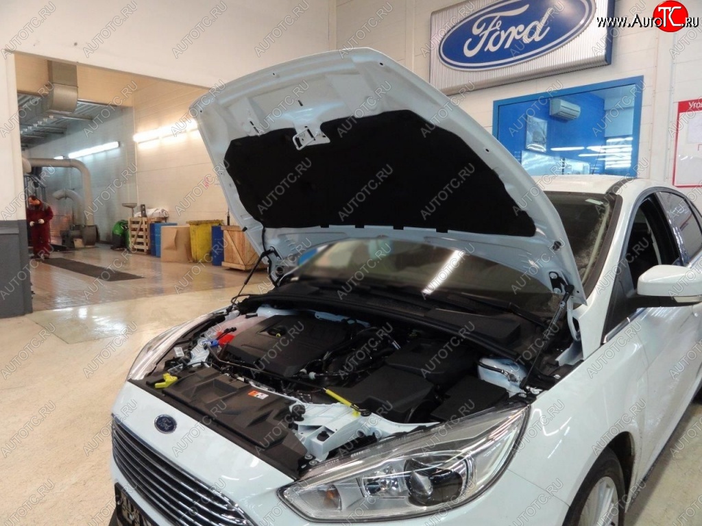 2 199 р. Газовые упоры капота Berkut Ford Focus 3 хэтчбэк дорестайлинг (2010-2015)  с доставкой в г. Майкоп