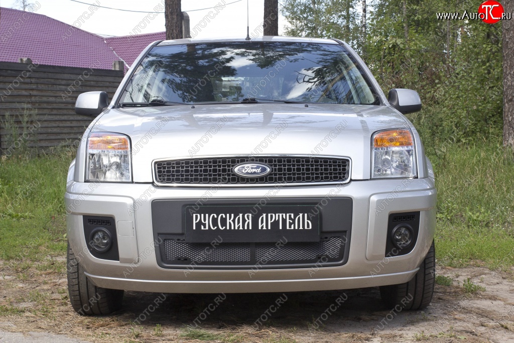 1 899 р. Защитная сетка решетки переднего бампера РА Ford Fusion 1  рестайлинг, хэтчбэк (2005-2012)  с доставкой в г. Майкоп