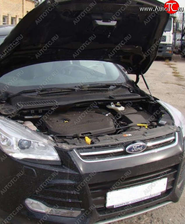 2 199 р. Газовые упоры капота Berkut Ford Kuga 2 дорестайлинг (2013-2016)  с доставкой в г. Майкоп