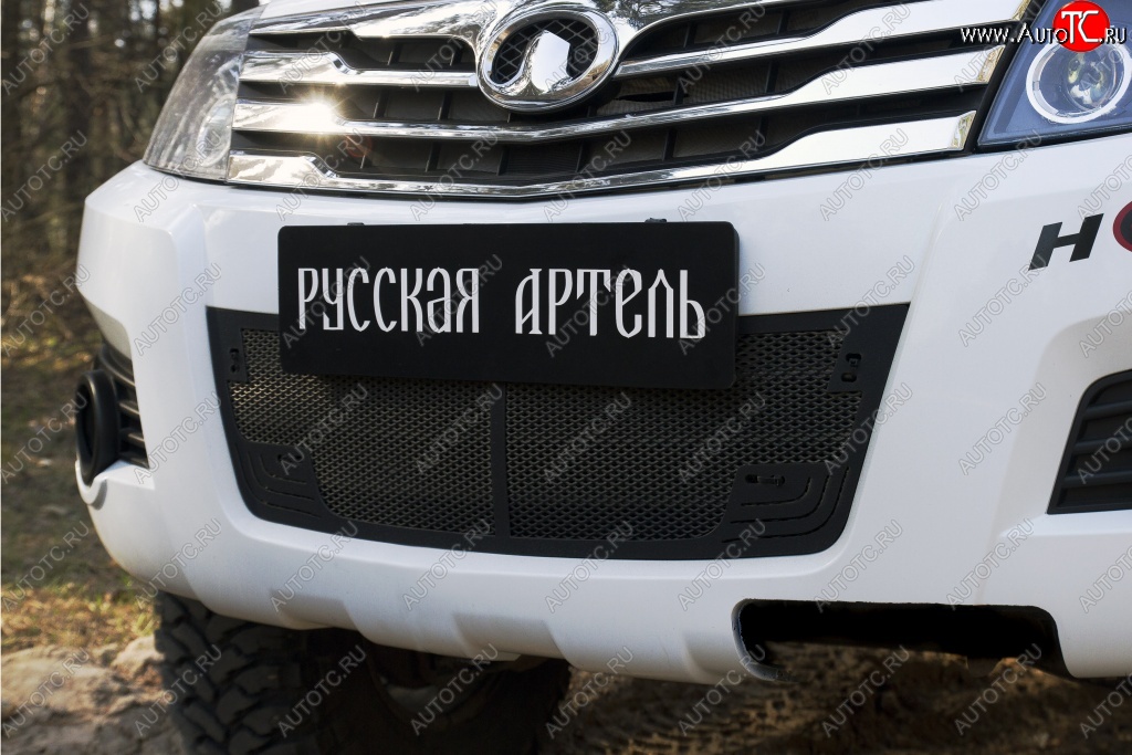 2 349 р. Защитная сетка решетки переднего бампера РА Great Wall Hover H3  дорестайлинг (2010-2014)  с доставкой в г. Майкоп