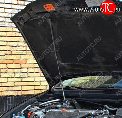 2 969 р. Газовый упор капота Tuning-Sport Honda Accord 7 CL седан дорестайлинг (2002-2005)  с доставкой в г. Майкоп