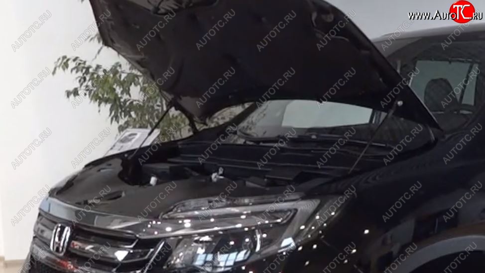 2 299 р. Упоры капота Russtal Honda Pilot YF6 дорестайлинг (2016-2019)  с доставкой в г. Майкоп
