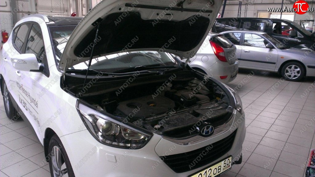 2 199 р. Газовые упоры капота Berkut Hyundai IX35 LM дорестайлинг (2009-2013)  с доставкой в г. Майкоп