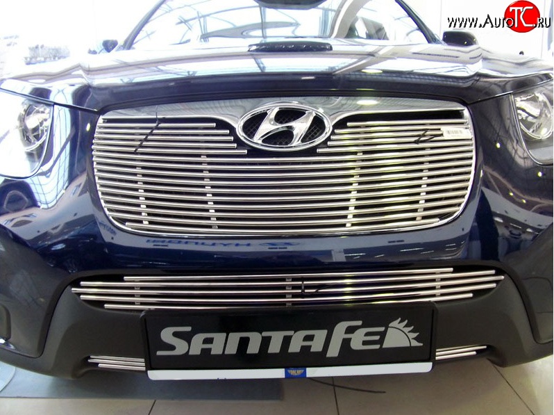 5 849 р. Декоративная вставка решетки радиатора Berkut (d10 мм) Hyundai Santa Fe CM рестайлинг (2009-2012)  с доставкой в г. Майкоп