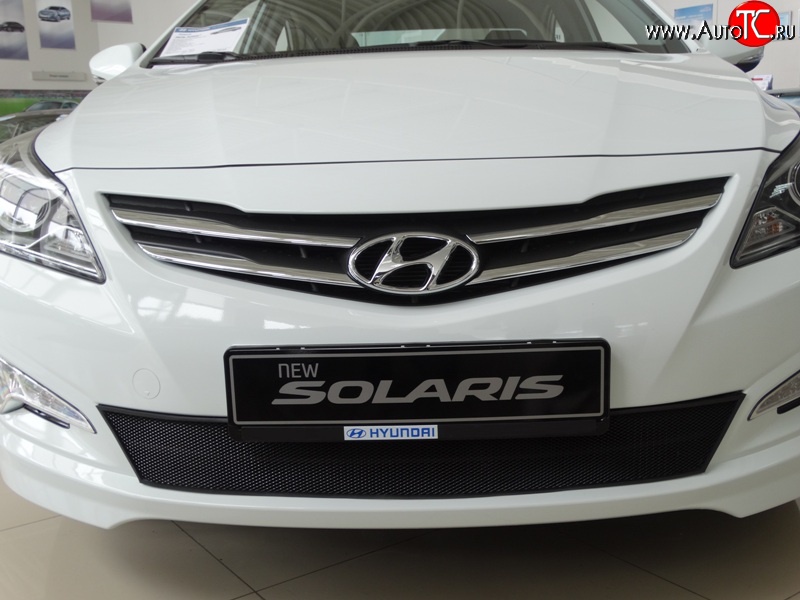 2 099 р. Сетка на бампер Russtal (черная) Hyundai Solaris RBr седан рестайлинг (2014-2017)  с доставкой в г. Майкоп