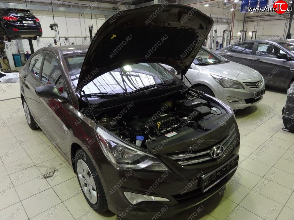 2 199 р. Газовые упоры капота Berkut Hyundai Solaris RBr седан рестайлинг (2014-2017)  с доставкой в г. Майкоп