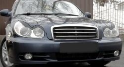 919 р. Реснички на фары RA  Hyundai Sonata  EF (2001-2013) рестайлинг ТагАЗ (Неокрашенные)  с доставкой в г. Майкоп. Увеличить фотографию 2
