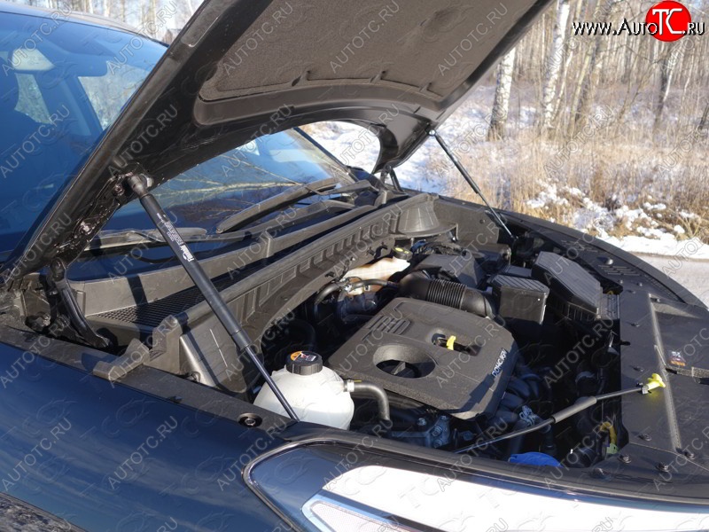 2 199 р. Газовые упоры капота Berkut Hyundai Tucson TL дорестайлинг (2015-2018)  с доставкой в г. Майкоп