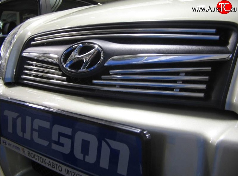 4 799 р. Декоративная вставка решетки радиатора Berkut Hyundai Tucson JM (2004-2010)  с доставкой в г. Майкоп