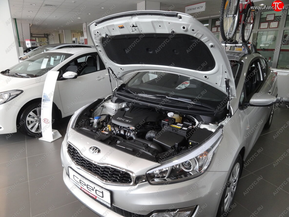 2 049 р. Упоры капота Russtal KIA Ceed 2 JD дорестайлинг универсал (2012-2016)  с доставкой в г. Майкоп
