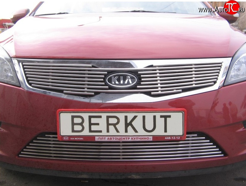 5 099 р. Декоративная вставка решетки радиатора Berkut KIA Ceed 1 ED рестайлинг, хэтчбэк 5 дв. (2010-2012)  с доставкой в г. Майкоп