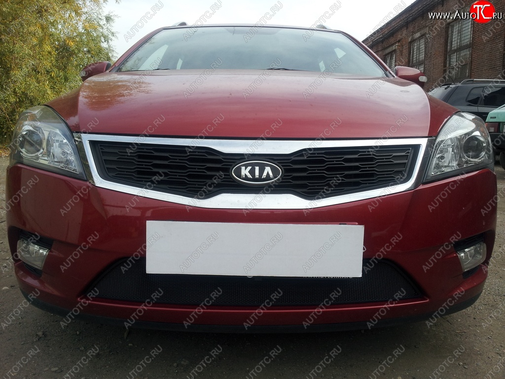 1 469 р. Защитная сетка на бампер Russtal (черная) KIA Ceed 1 ED рестайлинг, хэтчбэк 5 дв. (2010-2012)  с доставкой в г. Майкоп
