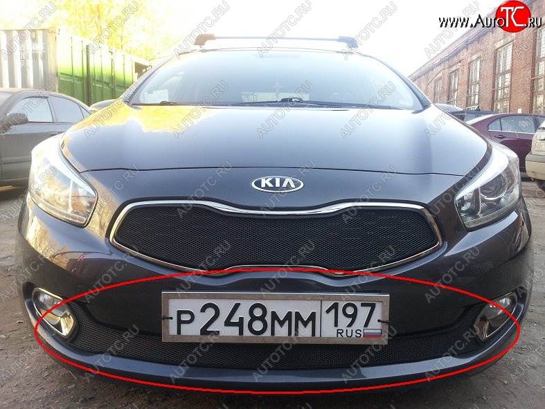 2 099 р. Нижняя защитная сетка на бампер Russtal (черная) KIA Ceed 1 ED рестайлинг, хэтчбэк 5 дв. (2010-2012)  с доставкой в г. Майкоп
