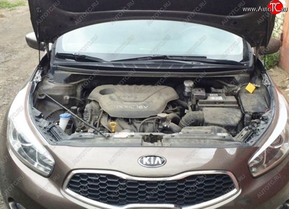 2 199 р. Газовые упоры капота Berkut KIA Ceed 1 ED рестайлинг, хэтчбэк 5 дв. (2010-2012)  с доставкой в г. Майкоп