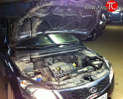 2 249 р. Упор капота Sport KIA Ceed 1 ED рестайлинг, хэтчбэк 5 дв. (2010-2012) (без кронштейна. установка на растяжку стоек Sport)  с доставкой в г. Майкоп