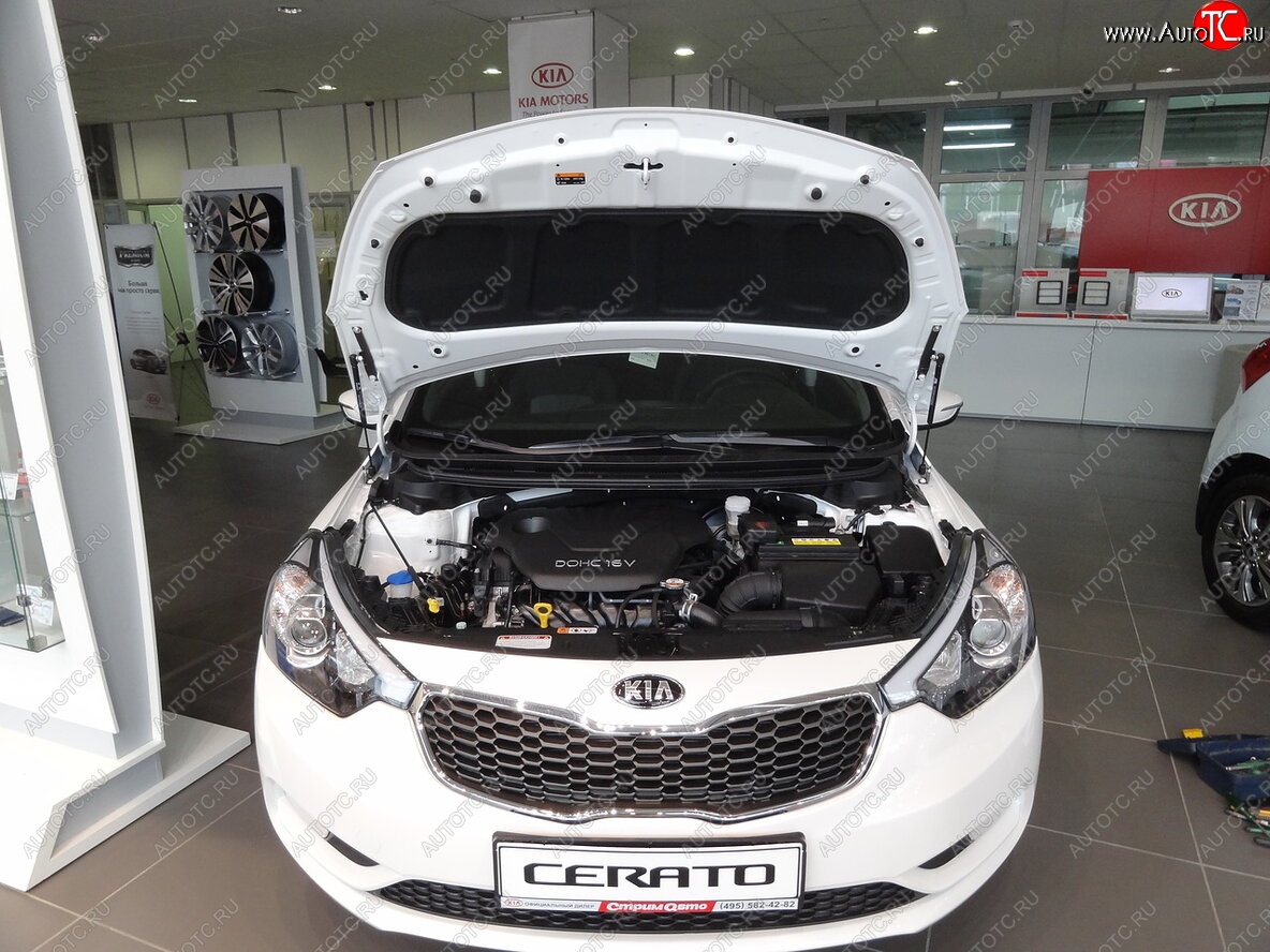 2 049 р. Упоры капота Russtal KIA Cerato 3 YD рестайлинг седан (2016-2019)  с доставкой в г. Майкоп