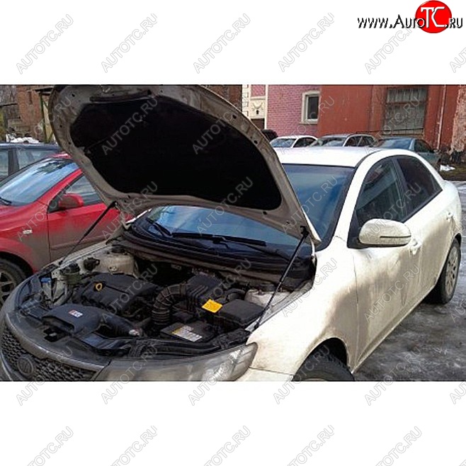 1 699 р. Упоры капота Russtal KIA Cerato 2 TD седан (2008-2013)  с доставкой в г. Майкоп