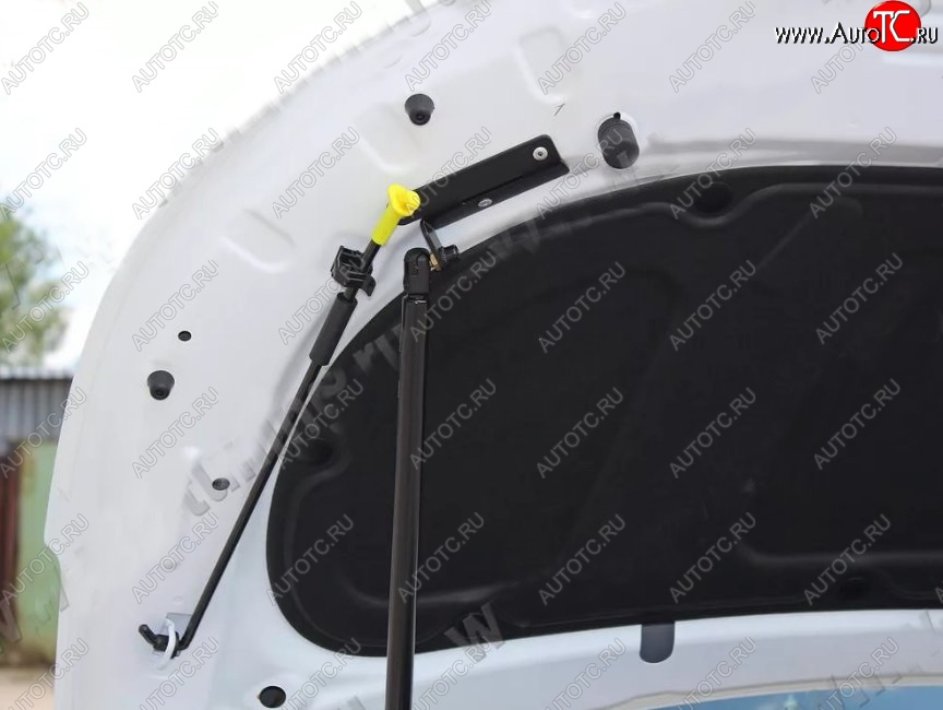 2 689 р. Газовый упор капота Tuning-Sport KIA Rio 3 QB рестайлингхэтчбек5дв. (2015-2017)  с доставкой в г. Майкоп