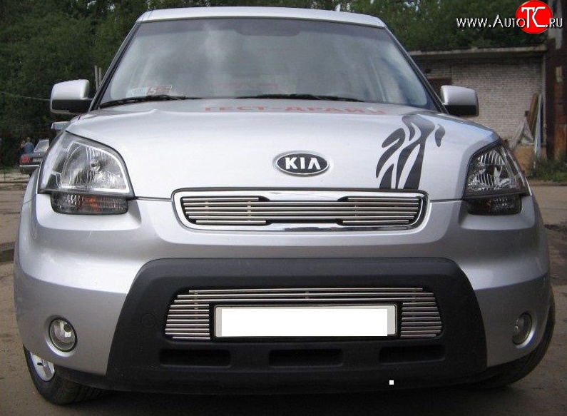 4 099 р. Декоративная вставка решетки радиатора AM Berkut KIA Soul AM дорестайлинг (2008-2011)  с доставкой в г. Майкоп