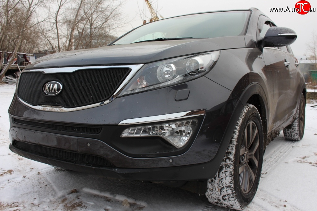 1 469 р. Нижняя сетка на бампер (рестайлинг) Russtal (черная) KIA Sportage 3 SL дорестайлинг (2010-2014)  с доставкой в г. Майкоп